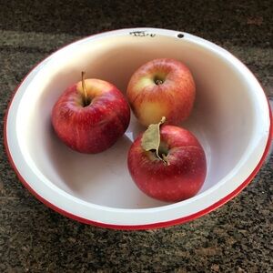VINTAGE Enamelware Enamel on Metal Basin White Bowl Red Rim Hanging Hole Classic
